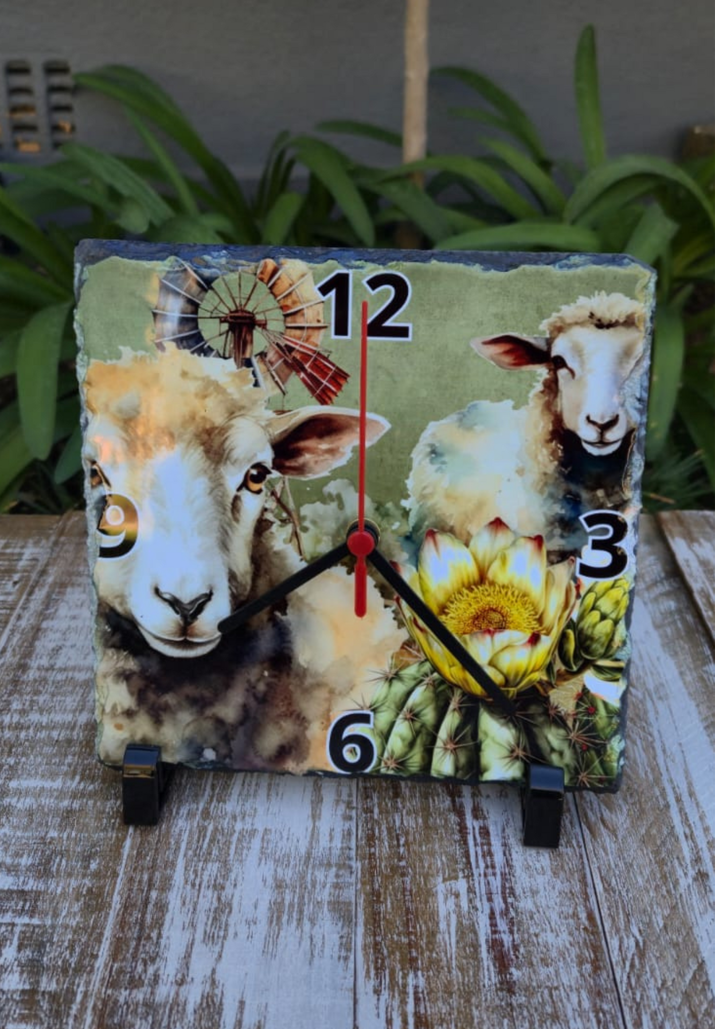 Rock Clock Sheep