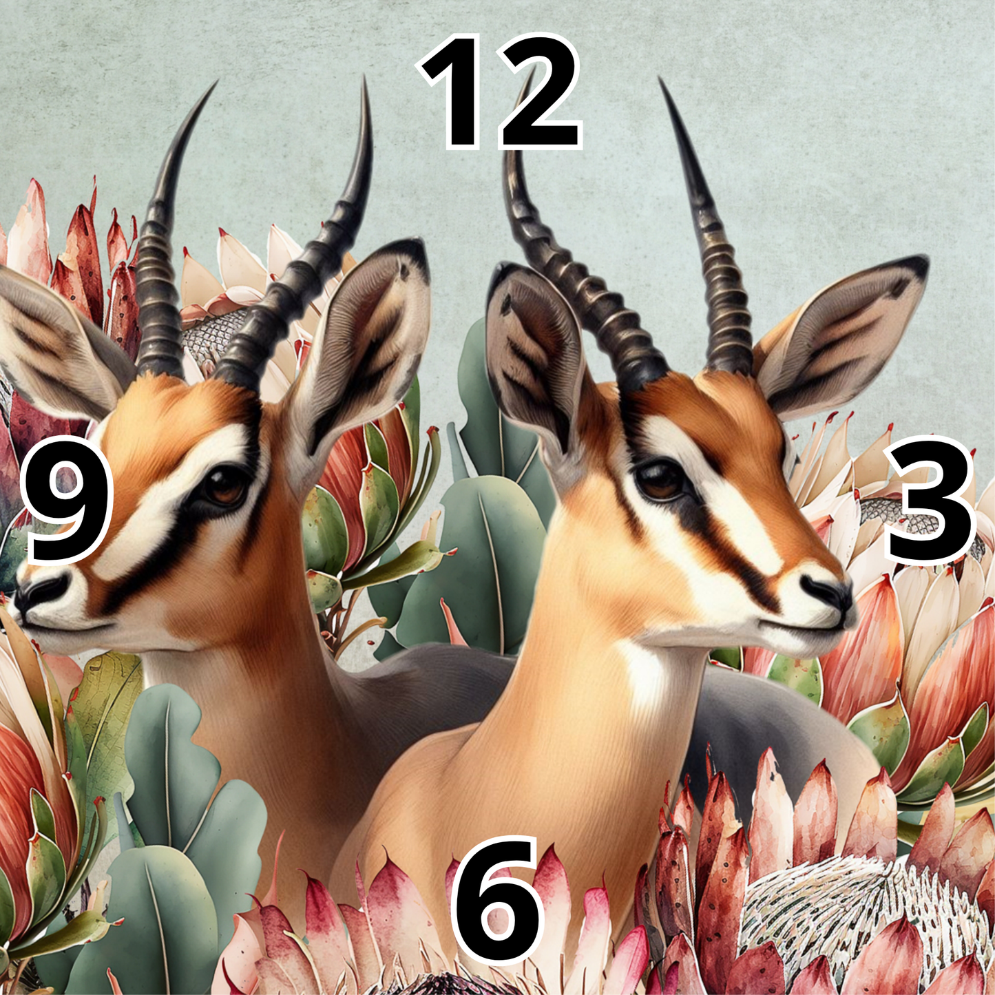 Rock Clock Springbok