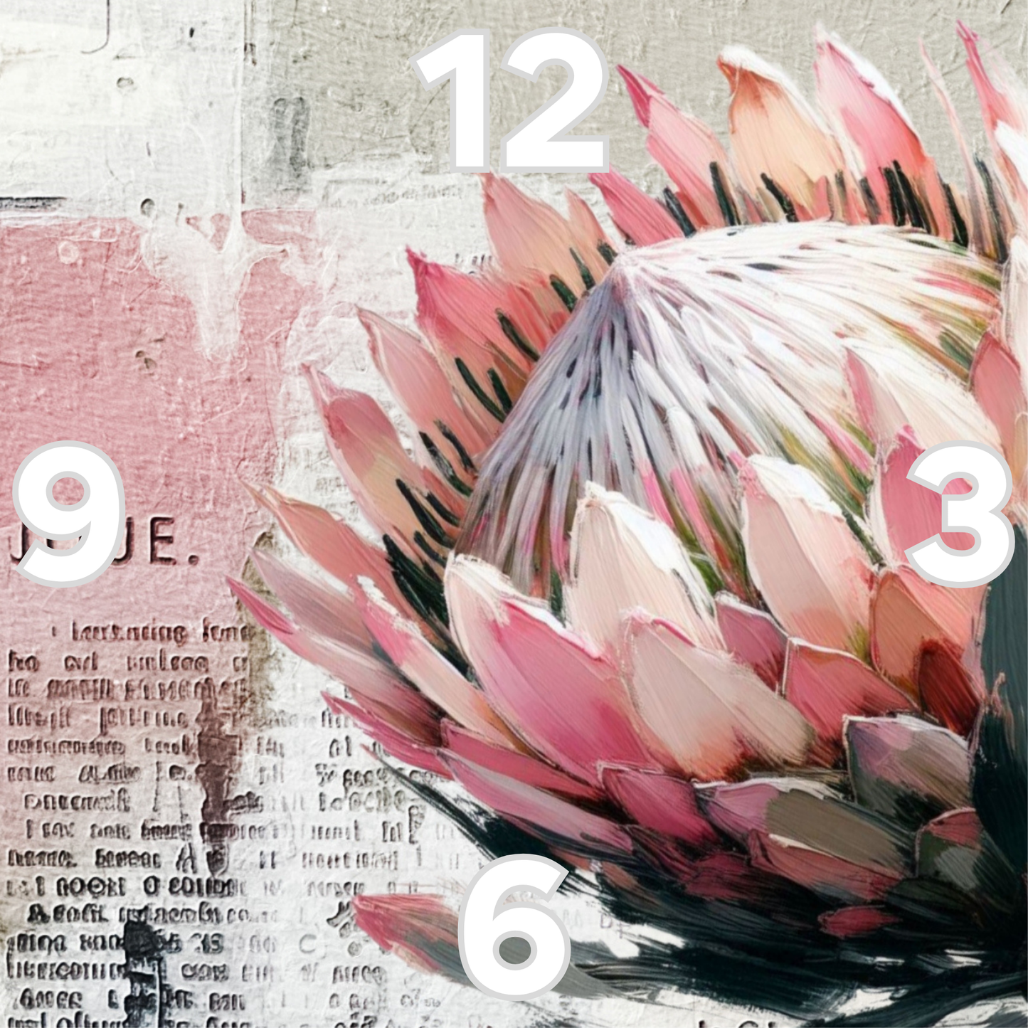 Rock Clock Protea