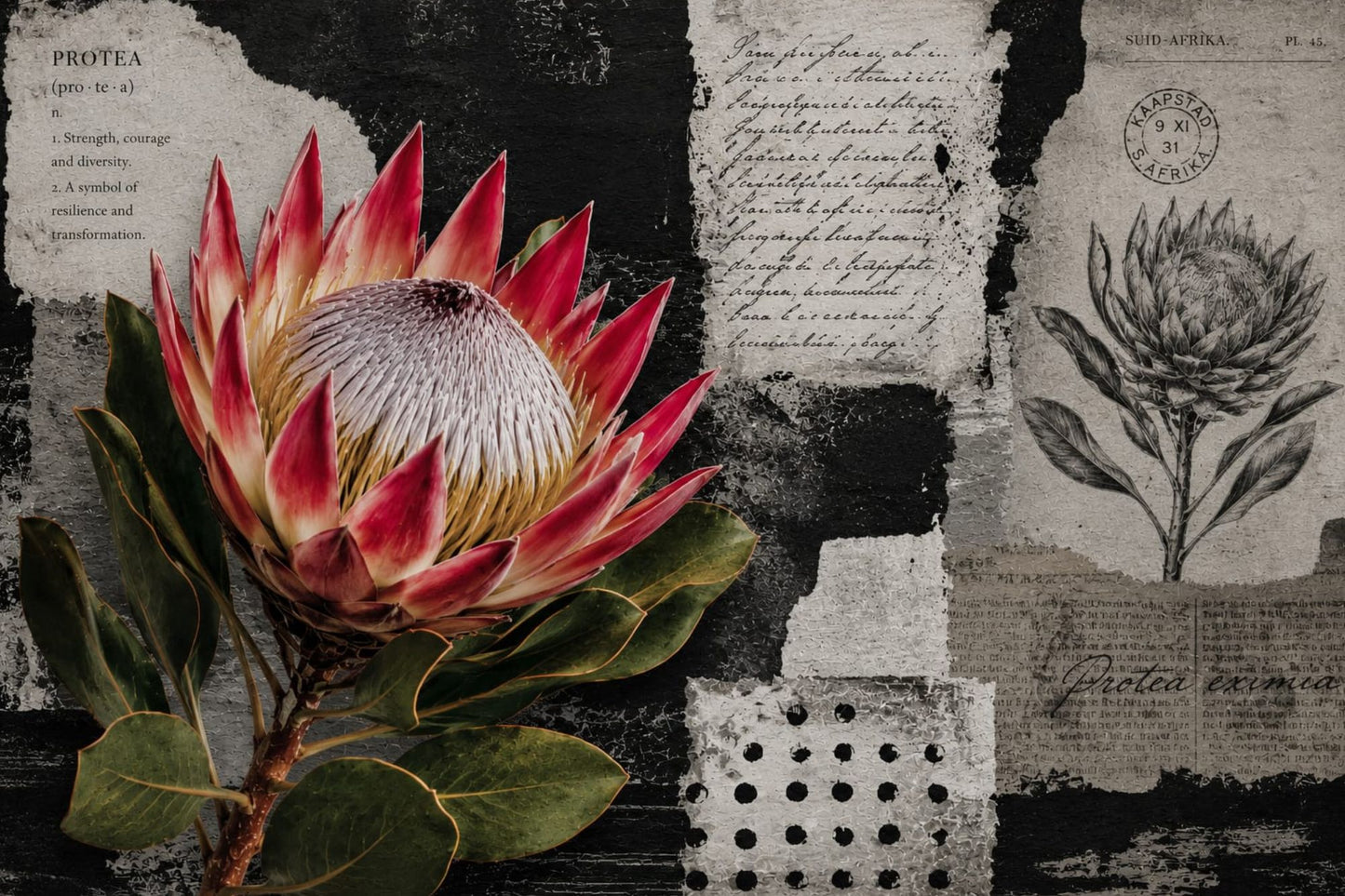 Printed Placemat Black & White Protea