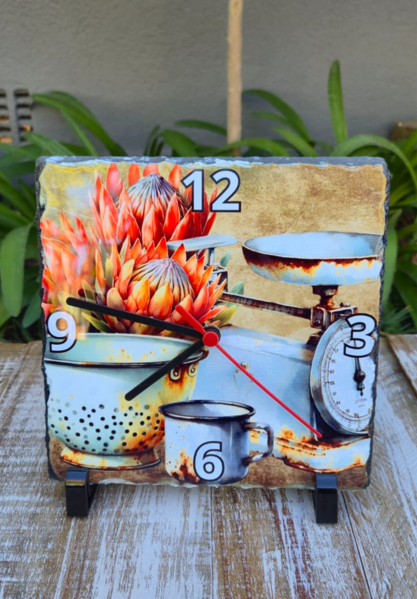 Rock Clock Enamel Protea