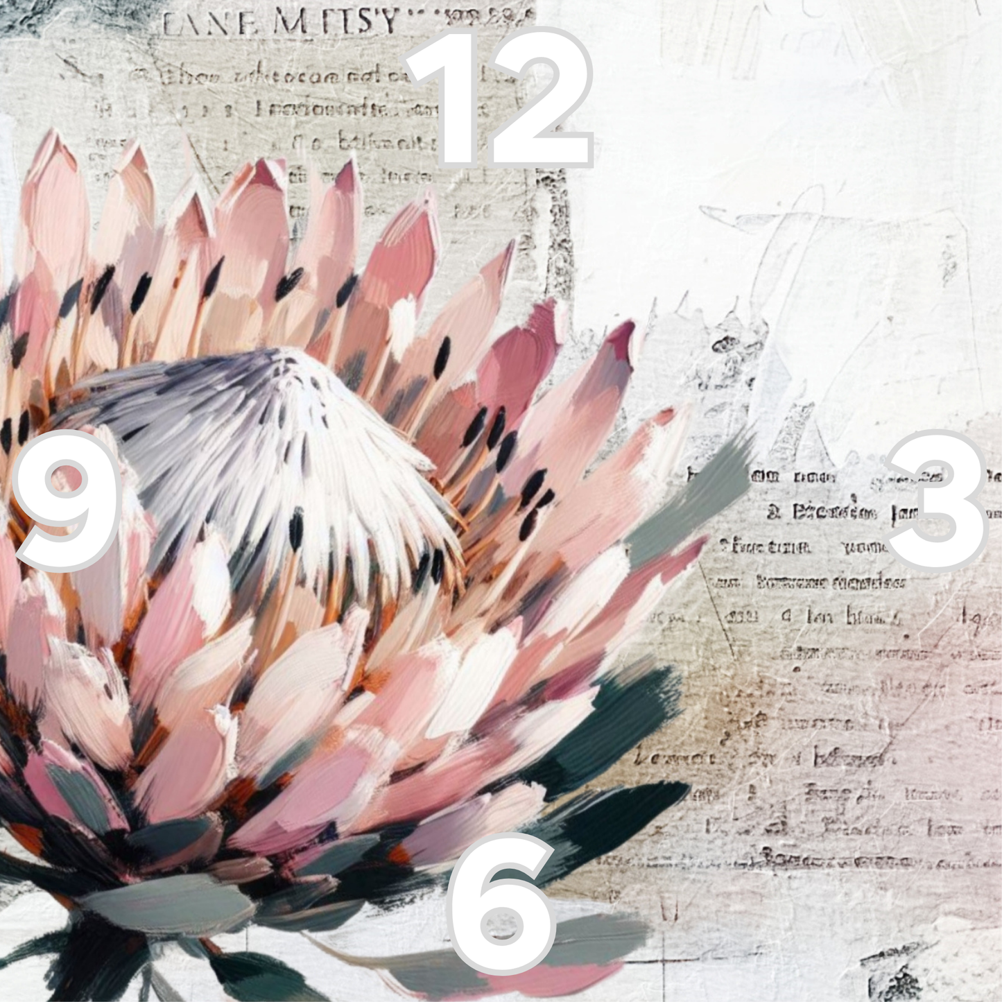 Rock Clock Protea