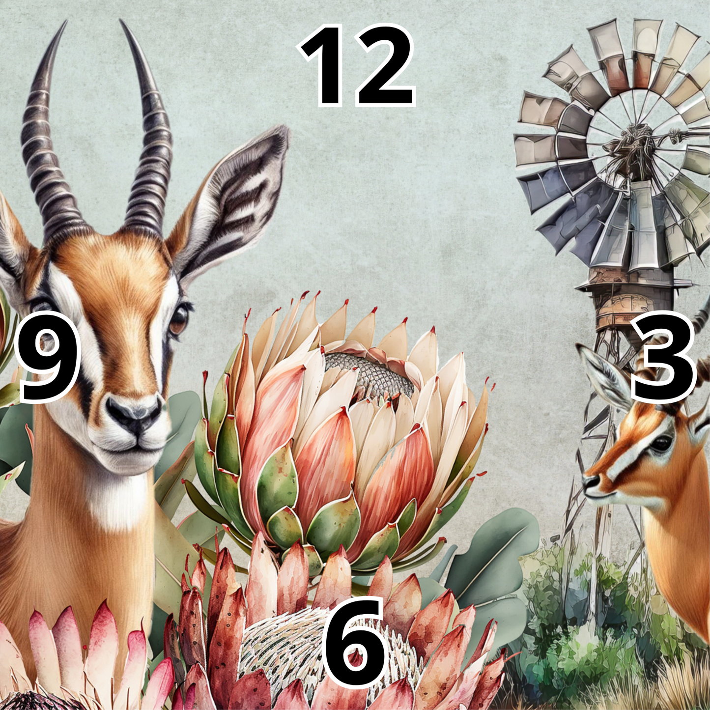 Rock Clock Springbok