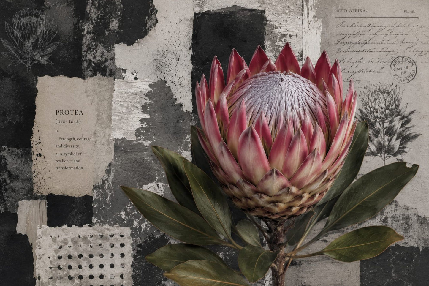 Printed Placemat Black & White Protea