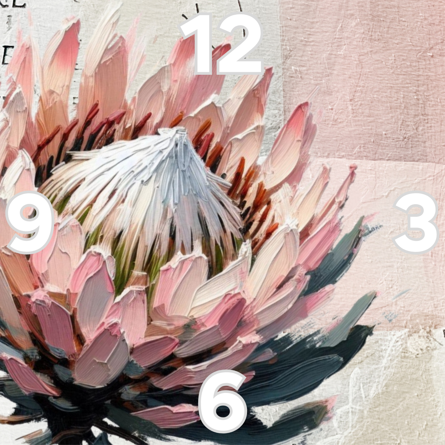 Rock Clock Protea