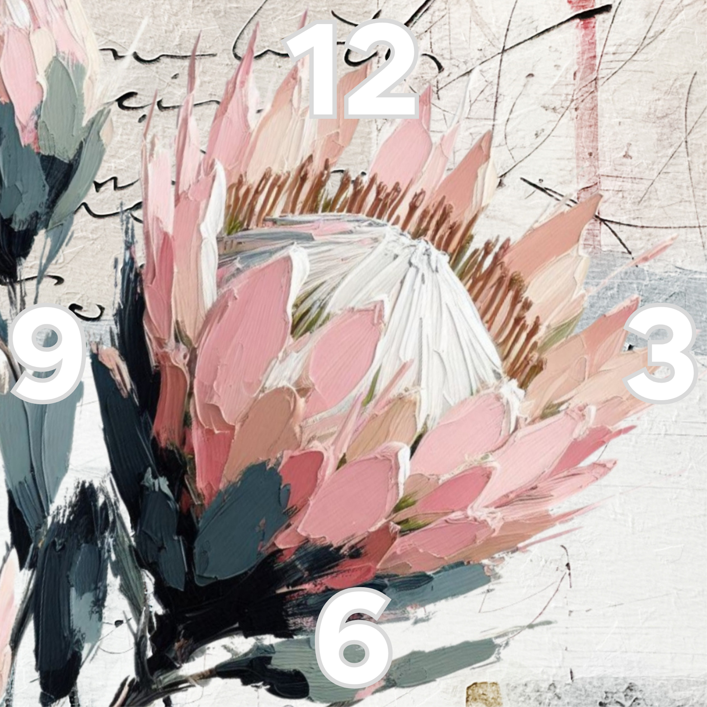 Rock Clock Protea