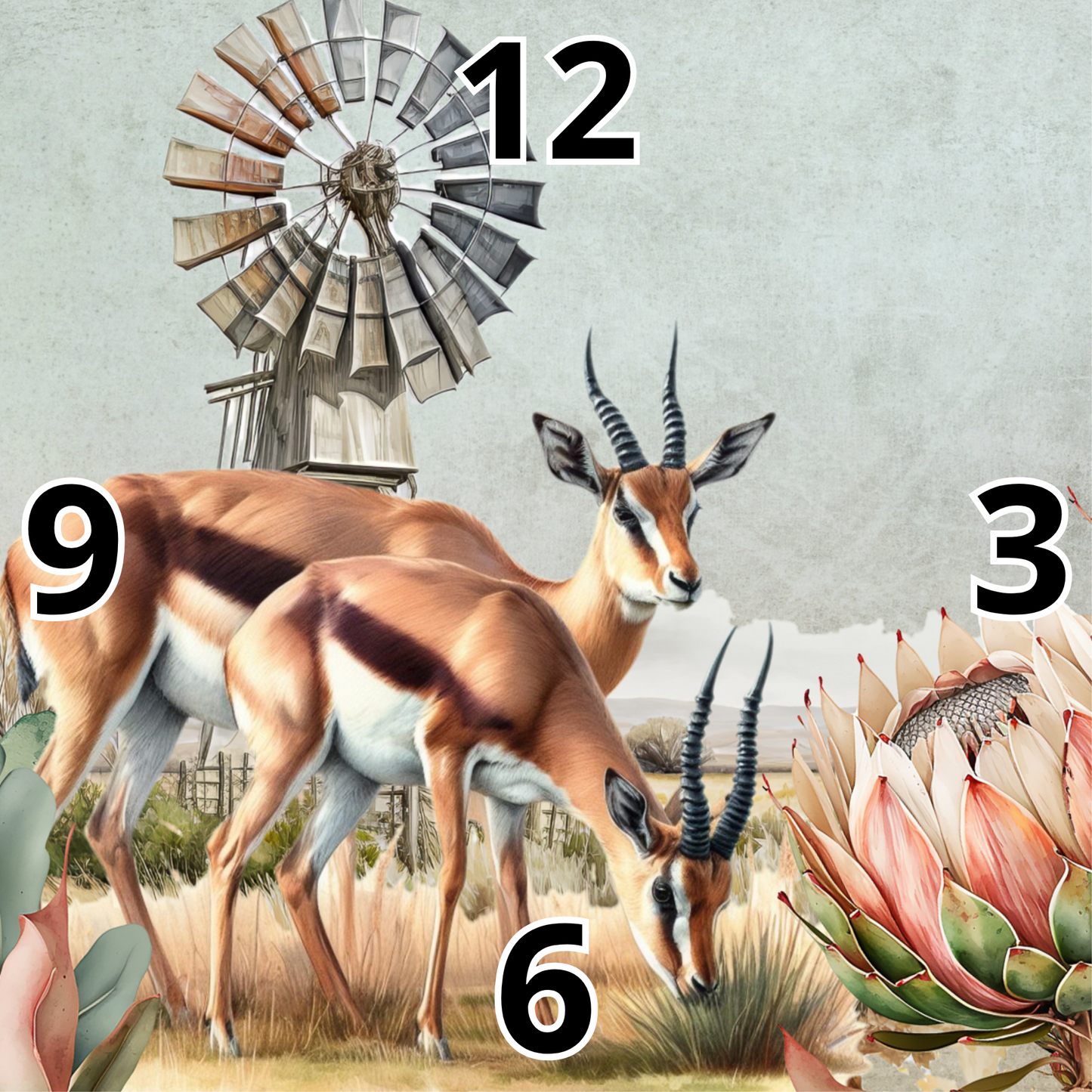 Rock Clock Springbok