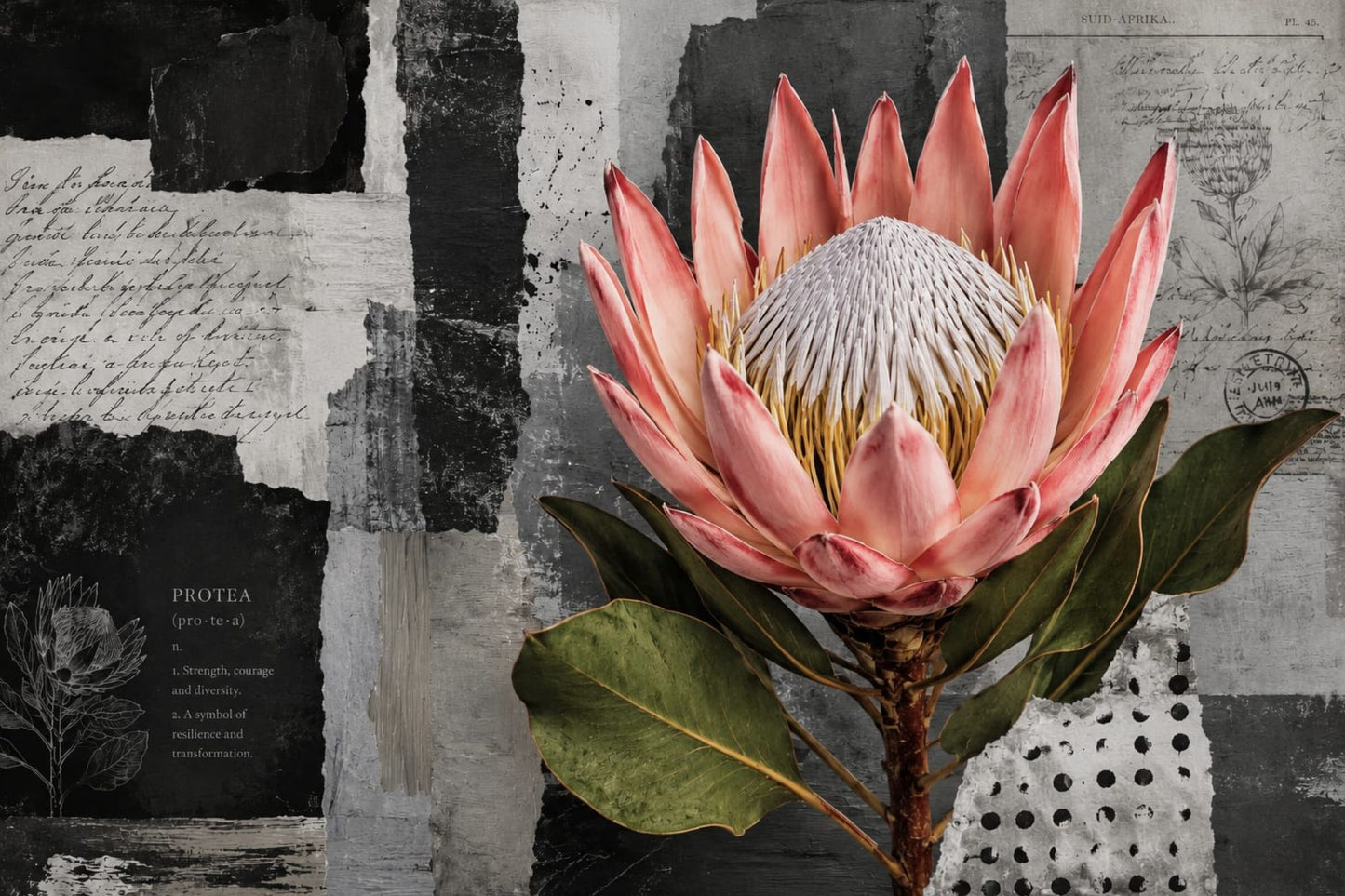 Printed Placemat Black & White Protea