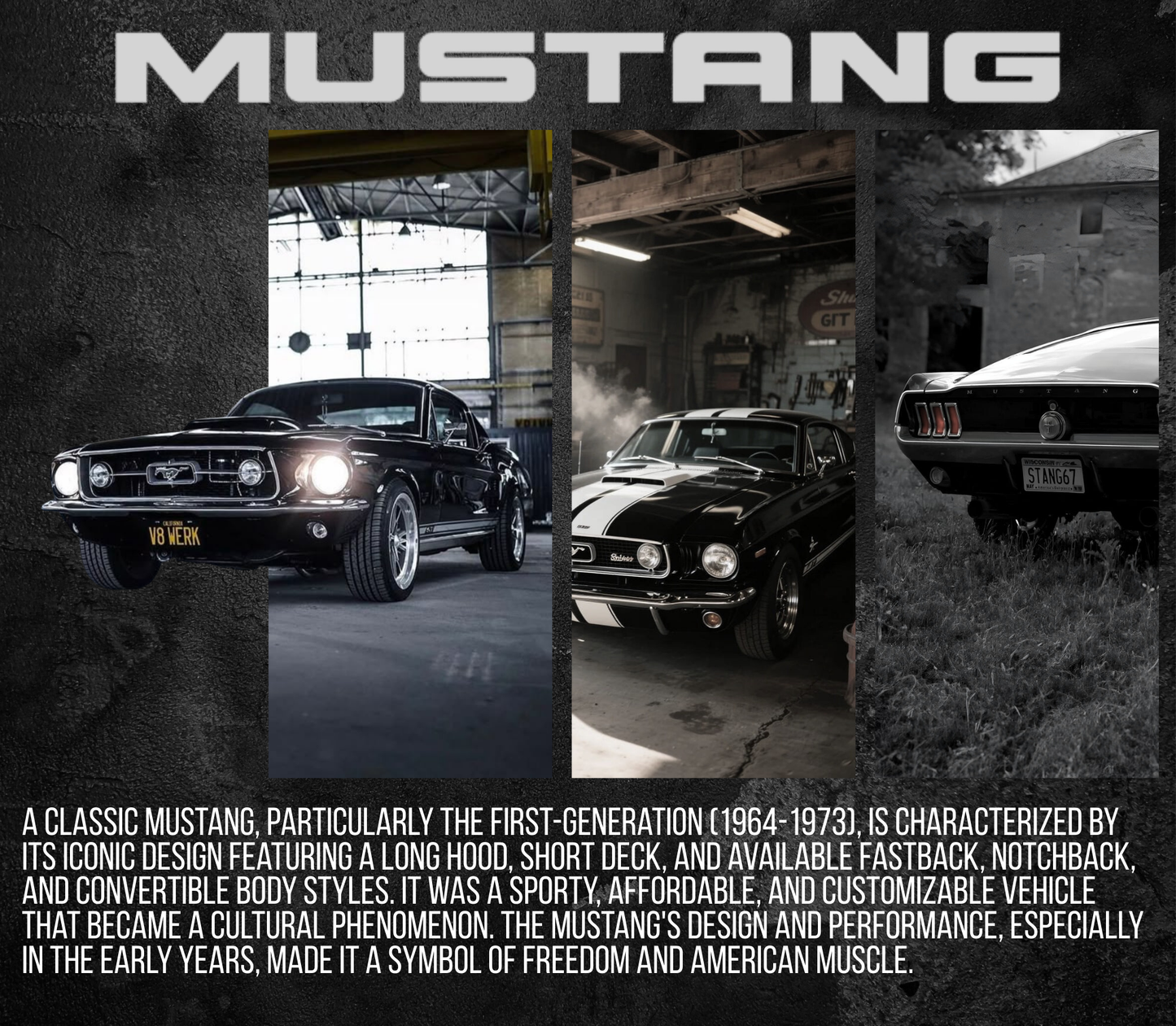 Skinny Tumbler 20oz Cars