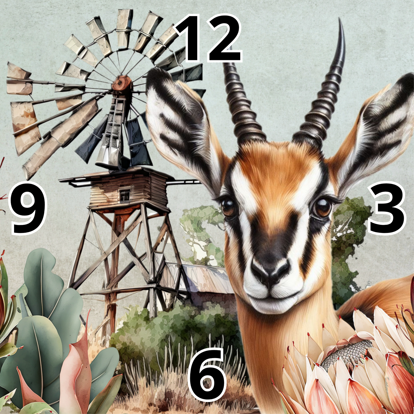 Rock Clock Springbok