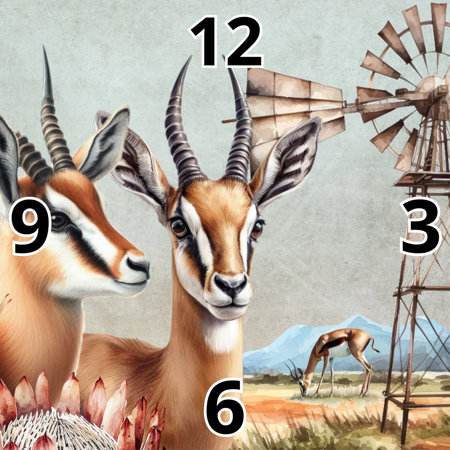 Rock Clock Springbok