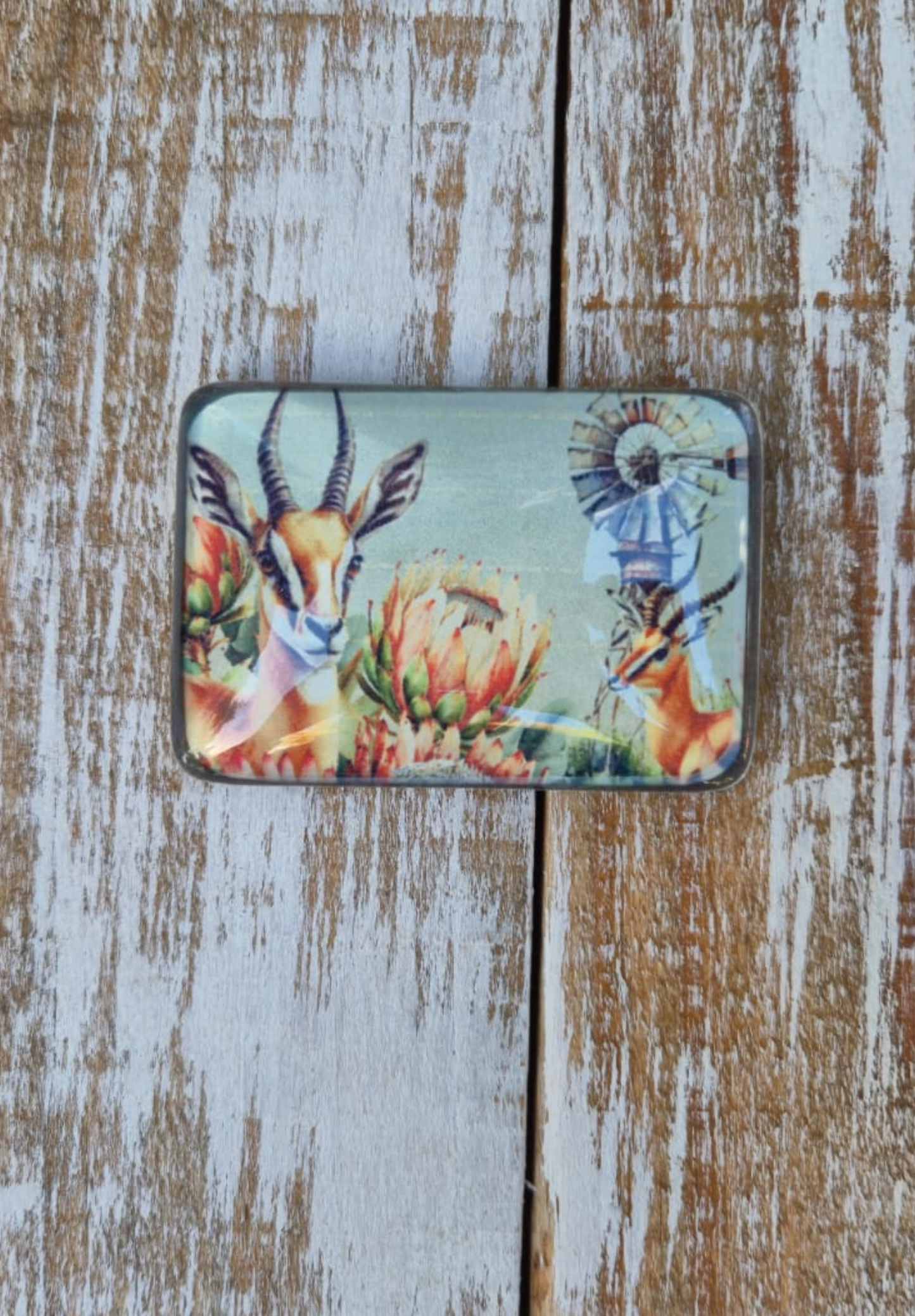 Glass Magnet Springbok