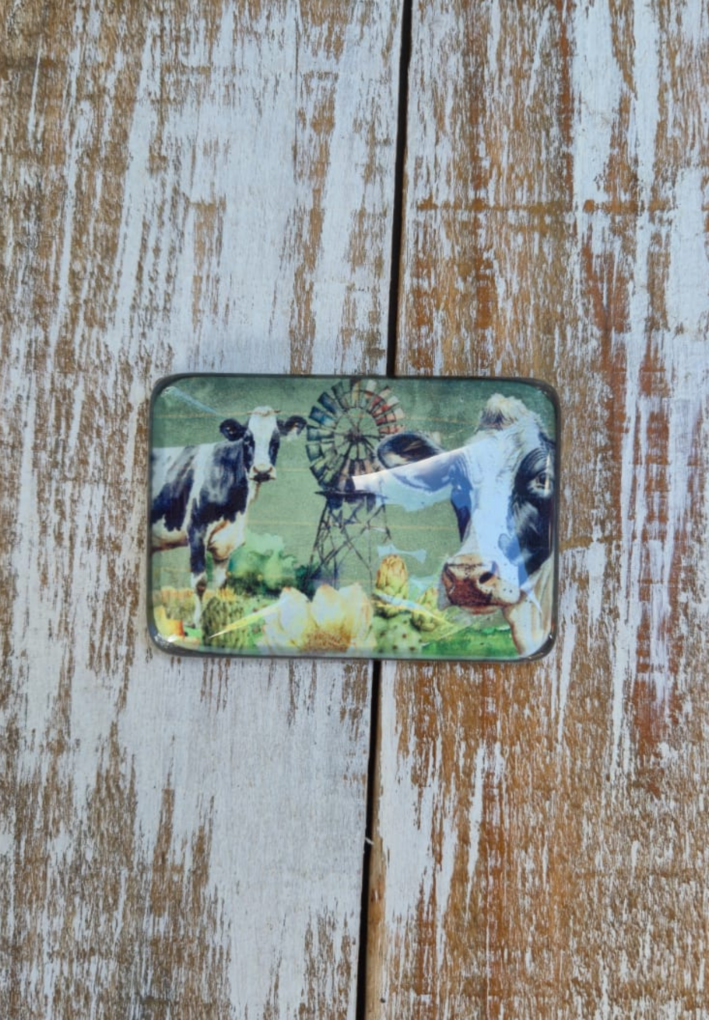 Glass Magnet Cows